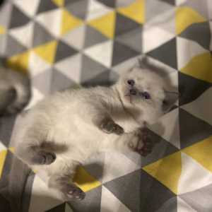 IMG-20230110-WA0000